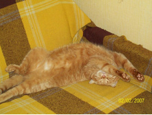 ����������� 005.jpg