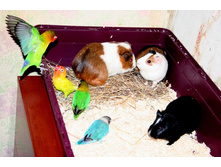 ����������� 416.jpg