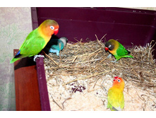 ����������� 424.jpg