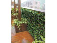 ������������ �������� ������� 