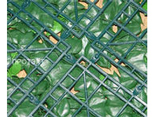 ��� �������� ������ - ��������� �������