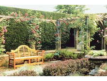 ������������ ��������