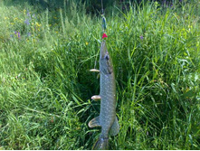 ������ 11 ��� 09