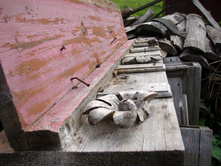 ������� ������