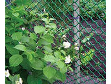 ���������� ������� - ��� ��������� ��ۣ��� � ��������� ������ 