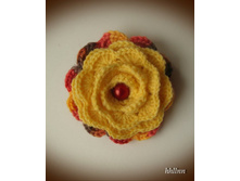 ����� ���� �����