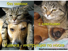 28.05.2012 9:38:13