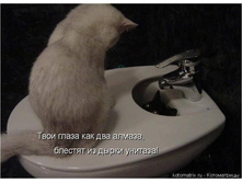 28.05.2012 9:40:48