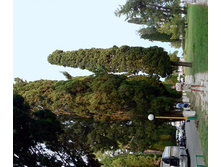 ����� ���������� \"�������\"