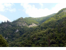 ���� �� ����