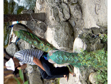 �������, ��������?