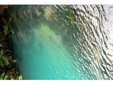 ������� �����. ������������� �������