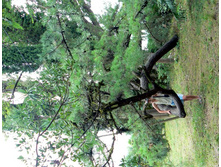 ��� ��� ����� ������� ��������������