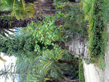 ������ ��� � �����