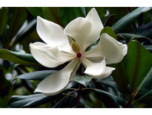 �� �������� ��� ���...