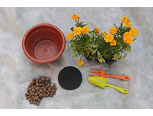 ��������� ������ ��� ��������� ��������