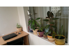 2012-05-26-121.jpg