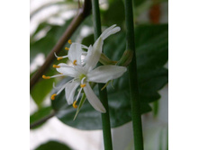 ���������� �����