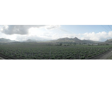 ������������ ��� �������