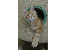 ��£��� ������ ������� - 3,5 ������)