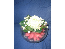 ������ ������