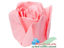    16022 - ���� � ����� \"���� � �������� ����������\" 5 �� �������	32�