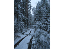 31.10.2010 16:18:00