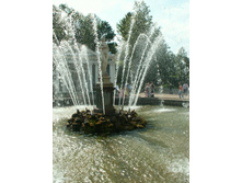 ��������. ���.