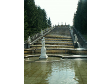 ��������. ������� ����.