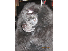 ���� � ����� 173.jpg