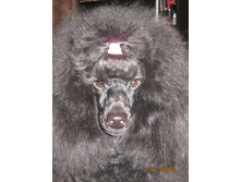 ���� � ����� 174.jpg