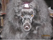 ���� � ����� 172.jpg