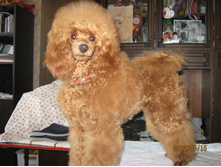 ���� � ����� 228.jpg