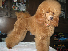 ���� � ����� 229.jpg