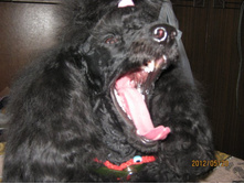 ���� � ����� 232.jpg