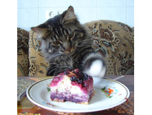 ����� � ��� �����������.