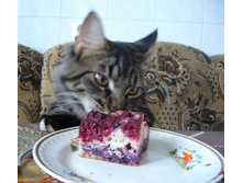 ������� ������ ���� ��ޣ�!