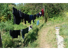 ����������.