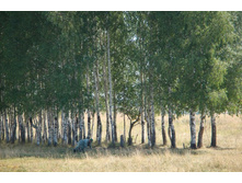 ��� ������ �� ������ ������ �����