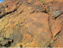 ����� ����. ���� ������