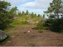 ��� ���������� �������.