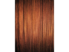 ���� ���������� ����������