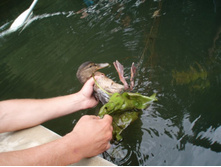 ��� ���� ������ �����..(