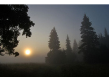 �������� ������� ��� ��������