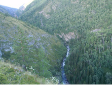 ������ �.�������