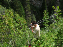 ��� �����-�������