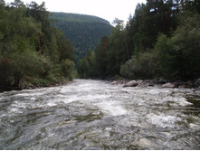 ������� �������