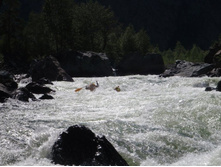 � ������ ������� ���������