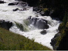 ��� ����