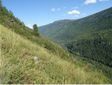 ������ �����